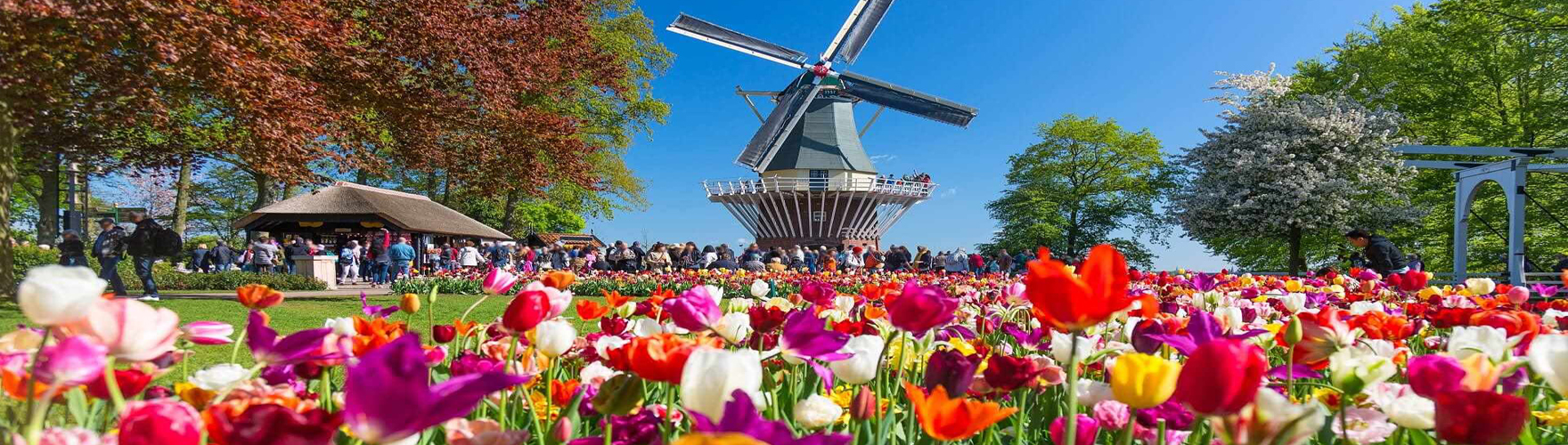 holanda1